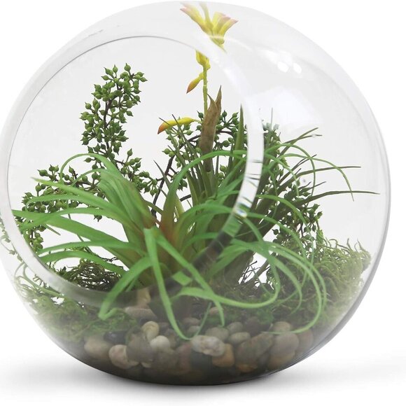 WGV Slant Cut Bowl Glass Vase, Width 9", Height 9", Clear Round Globe Planter Te - Picture 5 of 7